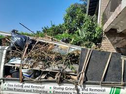 Best Garage Cleanout  in Newk, AR